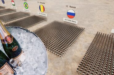 The Biggest WINE Producers In The World ! Ranked By Country