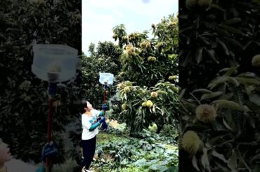 How to eat fruit  2023 #Shorts