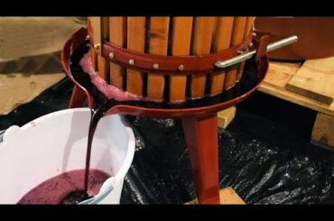 Home Winemaking From Grapes - Red Grape Wine and White Grape Wine - Demonstration and Tips