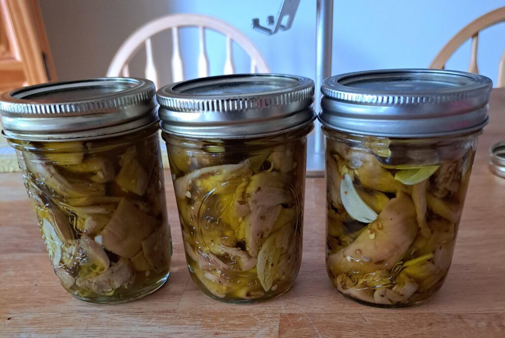 Italian Eggplant Garlic in Oil