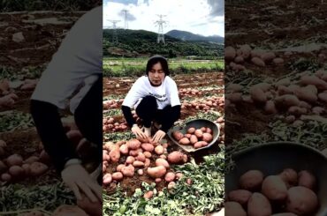 How to eat fruit  2023 #Shorts