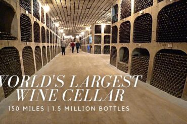 World's Largest Wine Cellar