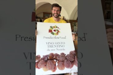 Carl and Sally-Anne wine tasting in Italy from a Mobilvetta