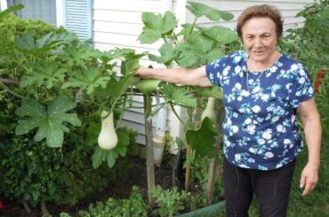 Italian Grandma's Vegetable Garden Tour 2023