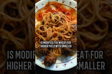 Why Italian Pasta is Healthier Than American Pasta - Joe Rogan