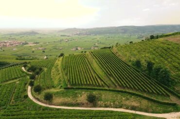 Italy’s Vineyards - Wine Country - Drone Footage