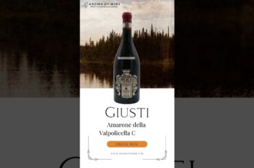 Salvano wine in singapore | Aroma of wine