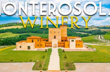 STATE-OF-THE-ART 125-HA ORGANIC WINERY AND VINEYARDS FOR SALE IN VOLTERRA, TUSCANY | ROMOLINI
