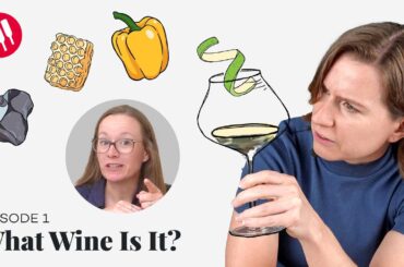 Learn by Tasting (ep. 1) Wine Folly