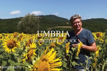 Buy this Italian property or I will!