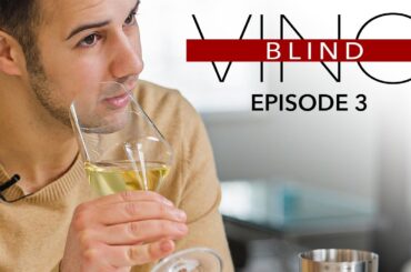 Can He GUESS THE WINE? Tough Blind Tasting CHALLENGE w/TV Host and Sommelier!