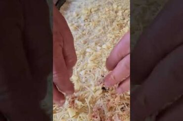 Slasher's White Clam Pizza! #Shorts