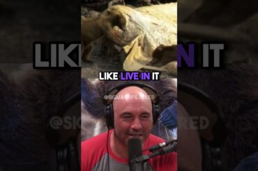 Eating Bears With A Whale Inside It | JRE