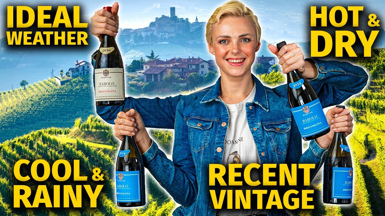 VINTAGE MATTERS: Blind Tasting BAROLO Wine From 4 Different Vintages VINTAGE MATTERS: Blind Tasting BAROLO Wine From 4 Different Vintages