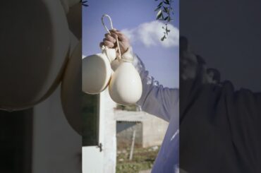 Here's how this popular Italian cheese got its name. #caciocavallo #italianfood #cheesemaking