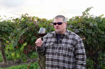 Fattoria dei Barbi 2016 Brunello di Montalcino, Vigna del Fiore (Italian Wine)