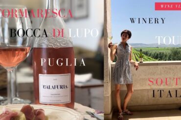 Tormaresca winery vlog: a new quality standard for Puglia's wines