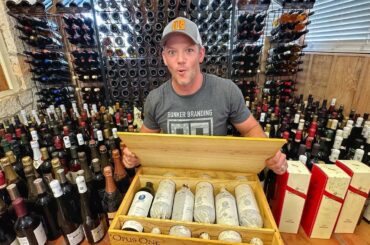 Sorting the Abandoned Resort Wine Cellar, How Much is it Worth???