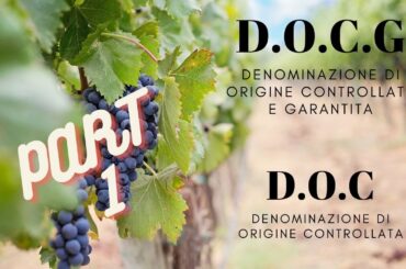 #BAR KNOWLEDGE#WINE KNOWLEDGE#DOC#DOCG#ITALY