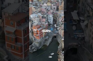 Fascinating Facts About Italy's Cinque Terre #shorts #travel #italy #italyfacts #travelfacts #viral