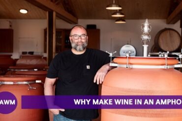 What is an amphora? A Master of Wine Explains
