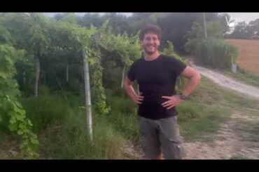 Let's go have a glass of wine in an old vineyard in Abruzzo