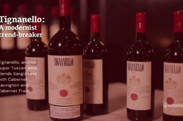 Best Italian wines from Brunello to Barolo and 10 in between, Amazing election