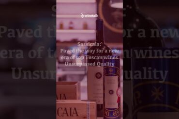 Discover the best Italian wines, tall version