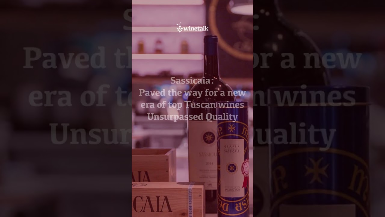 Discover the best Italian wines, tall version Discover the best Italian wines, tall version