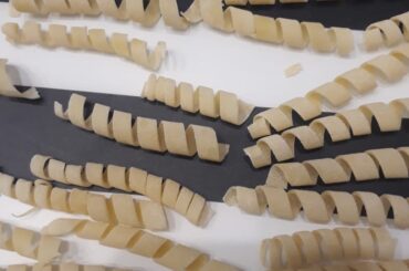 my first attempt at fresh pasta