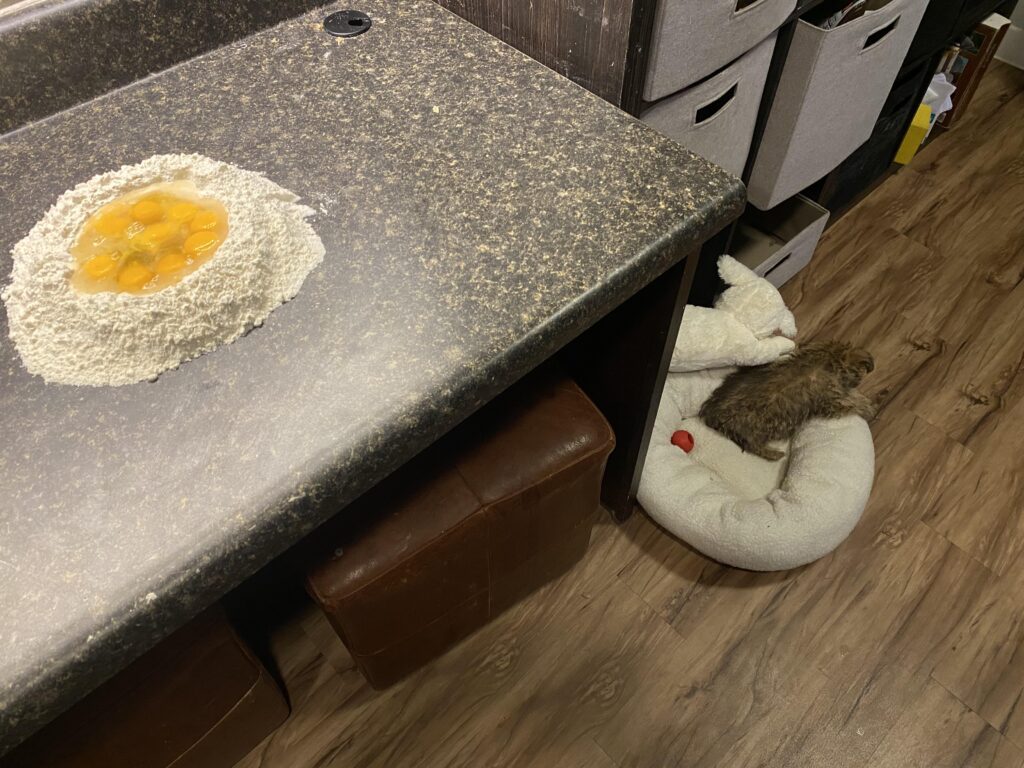 Making pasta with the new pup, Tao!