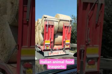 Animal food transporting in the Italy