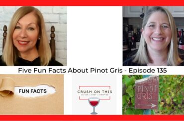 Five Fun Wine Facts About Pinot Gris - Crush on This Episode 135