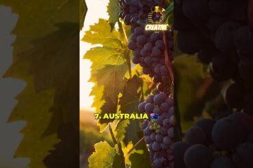 Top 10 Wine Producing Countries #top10 #shorts #short #top #wine #country #viral #usa #italy #spain