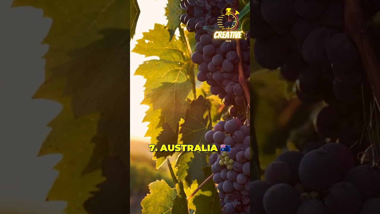 Top 10 Wine Producing Countries #top10 #shorts #short #top #wine #country #viral #usa #italy #spain Top 10 Wine Producing Countries #top10 #shorts #short #top #wine #country #viral #usa #italy #spain