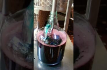 Vino Sfuso| Wine on Tap #wine #italy #bythesea #travel #italianriviera