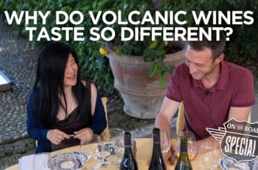 A Taste Of Volcanic Wines at Paolo e Noemia d'Amico Winery