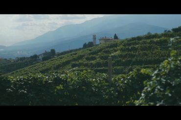 Wine and Travel Italy presents: La Tordera