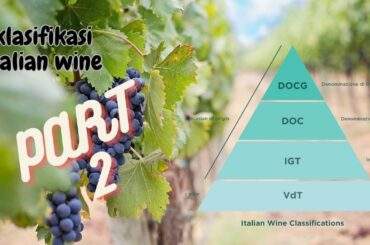 Klasifikasi Italian Wine #VDT #IGT #DOC #DOCG #BAR KNOWLEDGE #WINE KNOWLEDGE