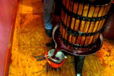 italian wine making: filling the press
