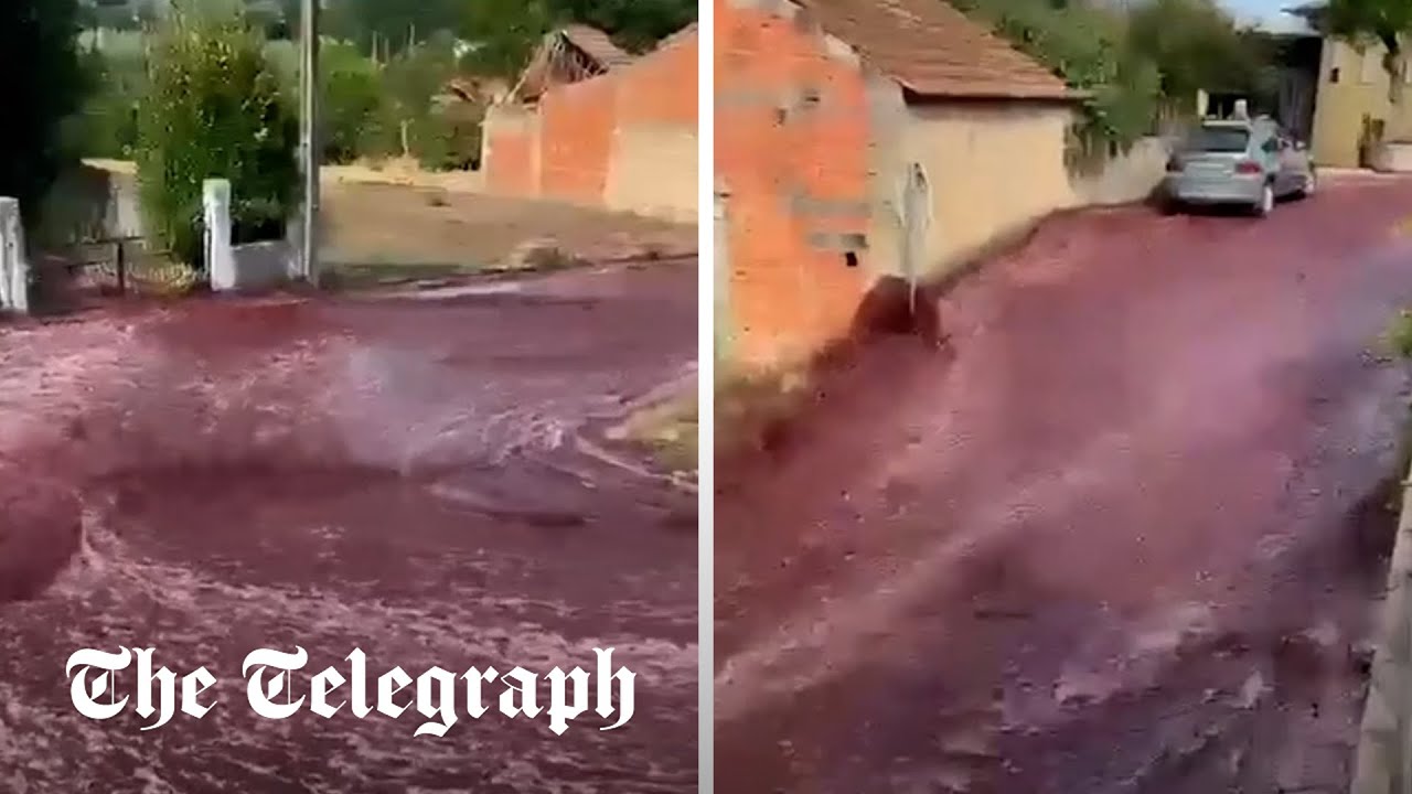 Two million litres of red wine flood streets of Portuguese village Two million litres of red wine flood streets of Portuguese village