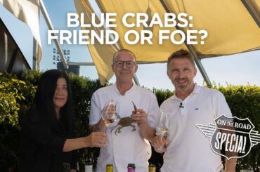 Blue Crabs: Friend or Foe? Italian Wine Makes them Easy to Stomach!