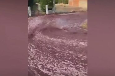Red wine floods the streets of small Portuguese town