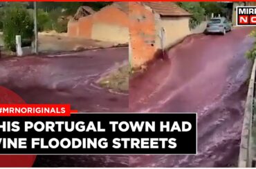 Portugal Wine River | Over 2 Million Litres Of Wine Flow Down The Streets In Portugal | Viral Video