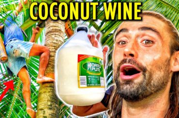 Harvesting & Drinking Coconut Wine In The Philippines (Coconut Flower Nectar Alcohol)