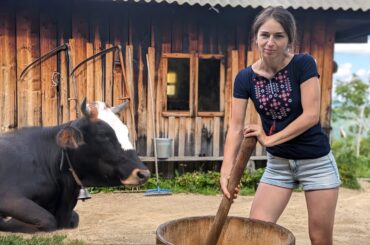 Hard hand work in a mountain village on cows farm. Making 3 types of cheese one day
