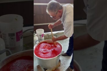 Making Tomato Sauce Italian Style #shorts