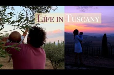 RENOVATING A RUIN: Olive Harvest, Life with a Baby in Italy, Cooking from our Garden
