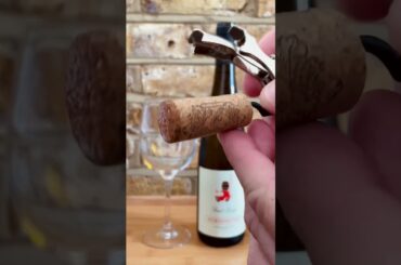 Schiopetto Pinot Grigio Friuli 2019