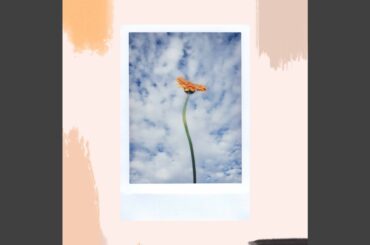 Mind-blowing Son Montuno Trumpet - Vibe for Deluxe Italian Dining